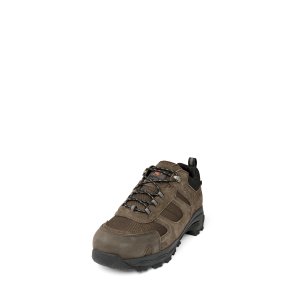 Lite Hiker 3