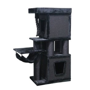 Lieutenant All Black