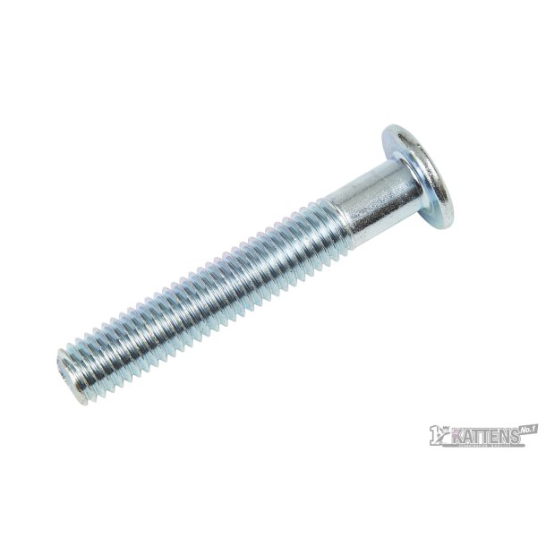 Head Screw M10 x 75 mm