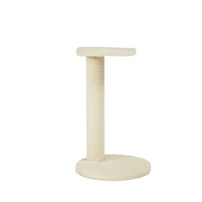 Kitten Environment Cream